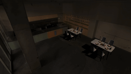 PortalCam LCC Studio пример